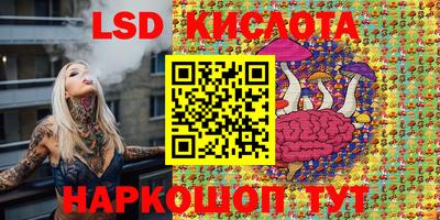 шишки Свободный